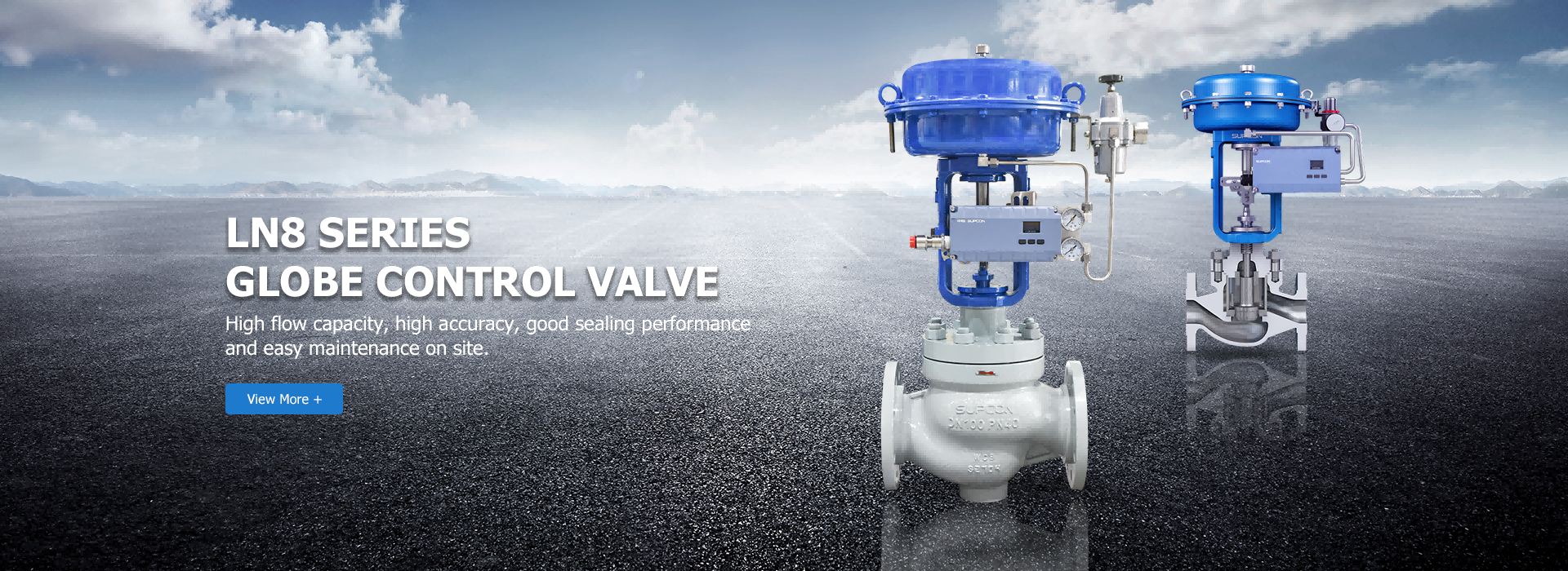 Globe Control Valve