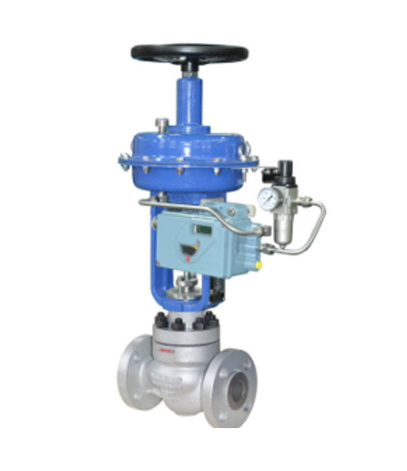 LN81 Series Single Seat Globe Control Valve