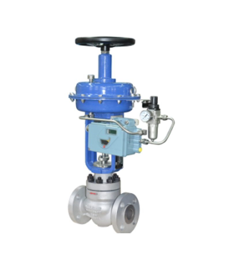 LN82 Series Single Seat Globe Control Valve